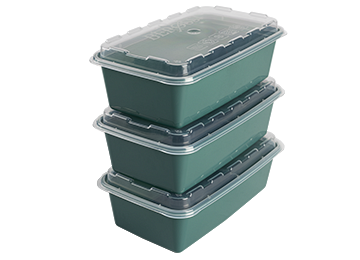 Set of 3 containers for aspic and jelly Family comfort, 0.92 L, pine